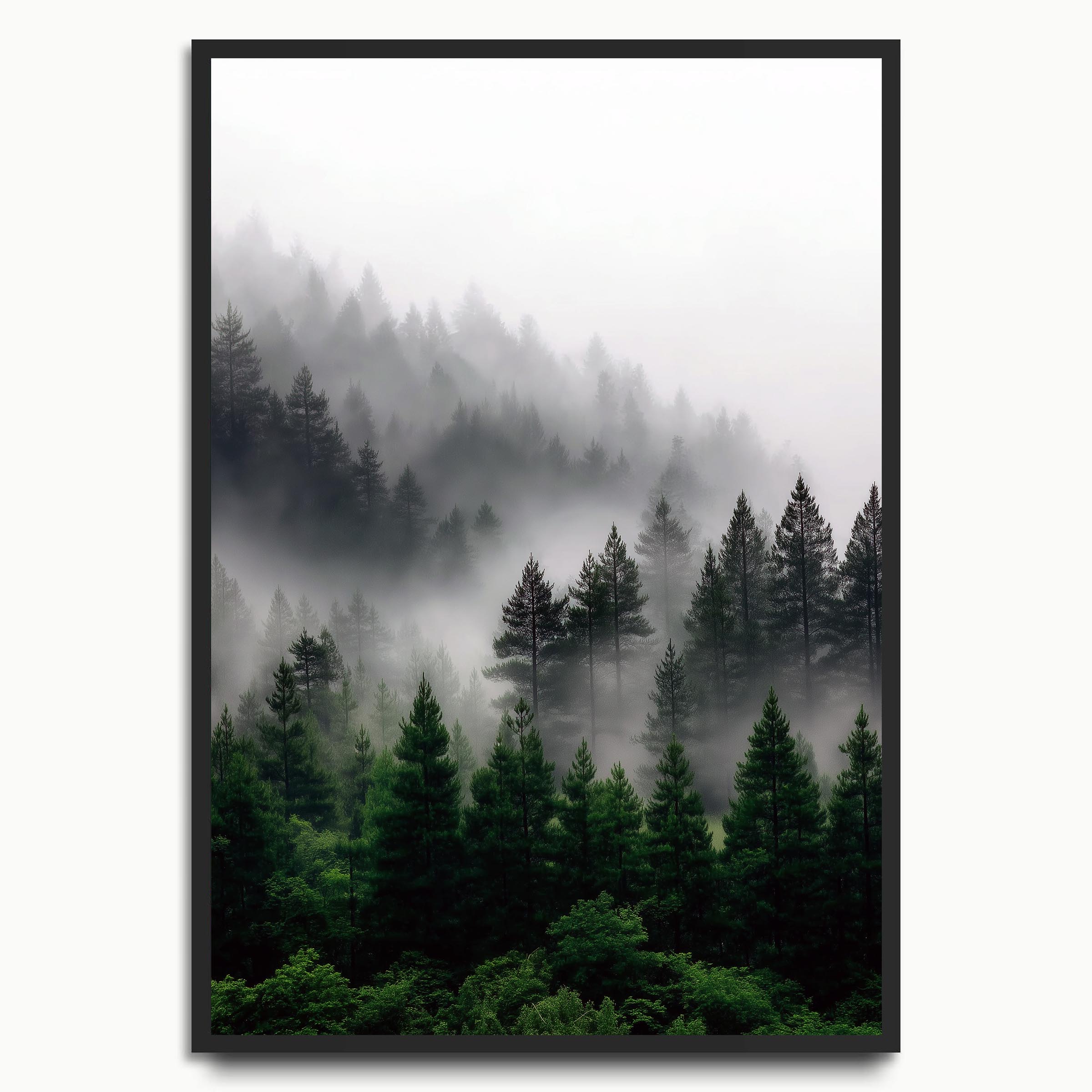 Forest Fog