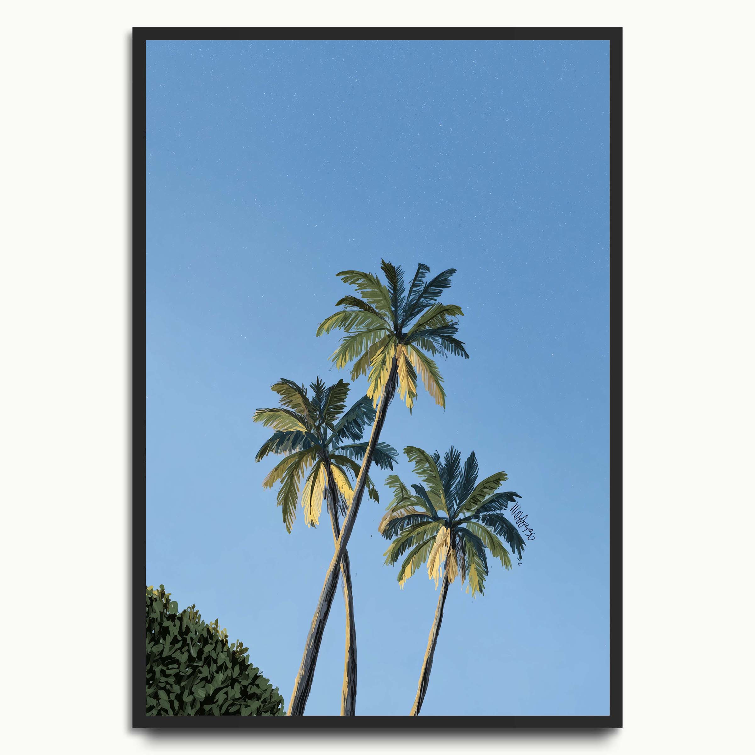 Blue Sky Palms