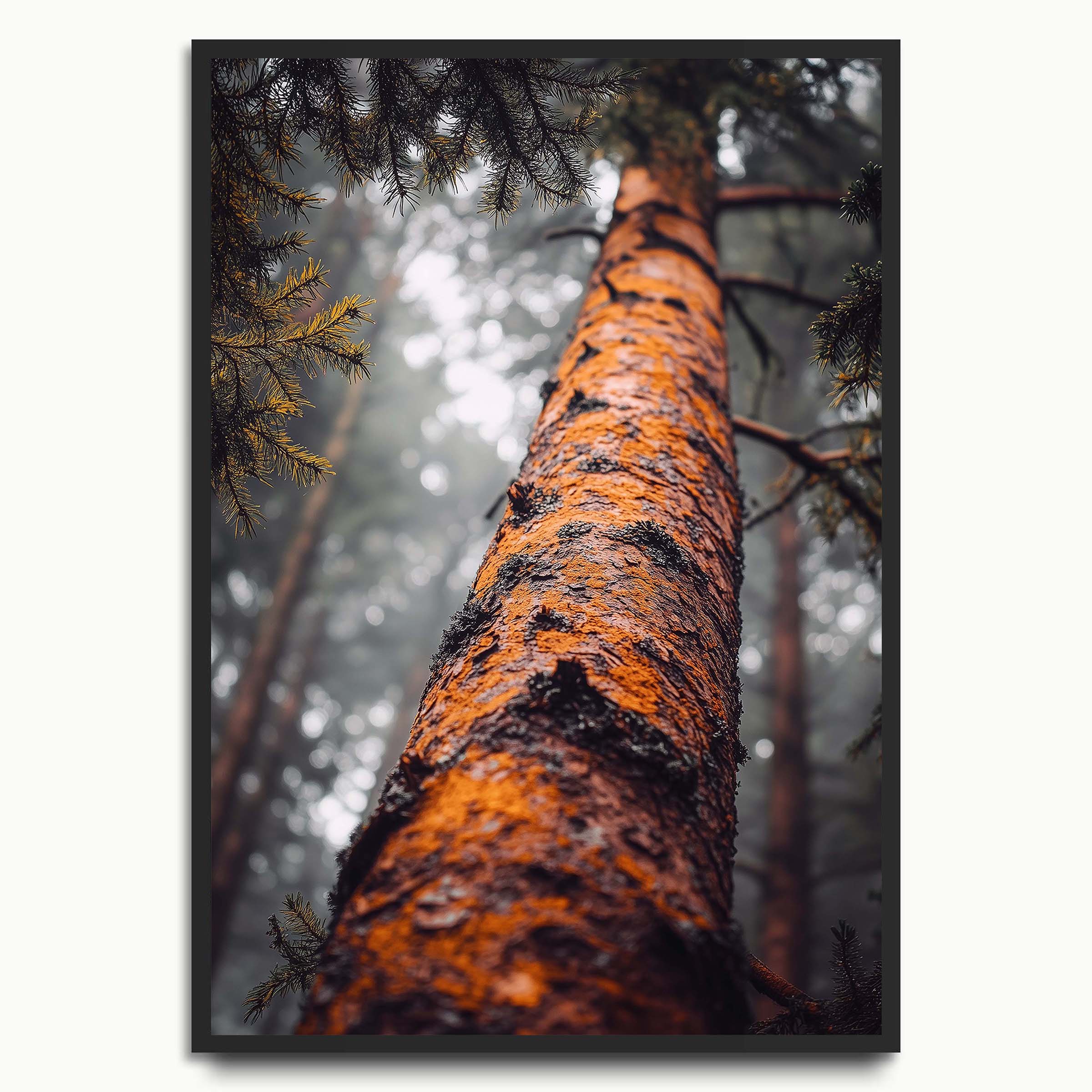 Forest Pulse