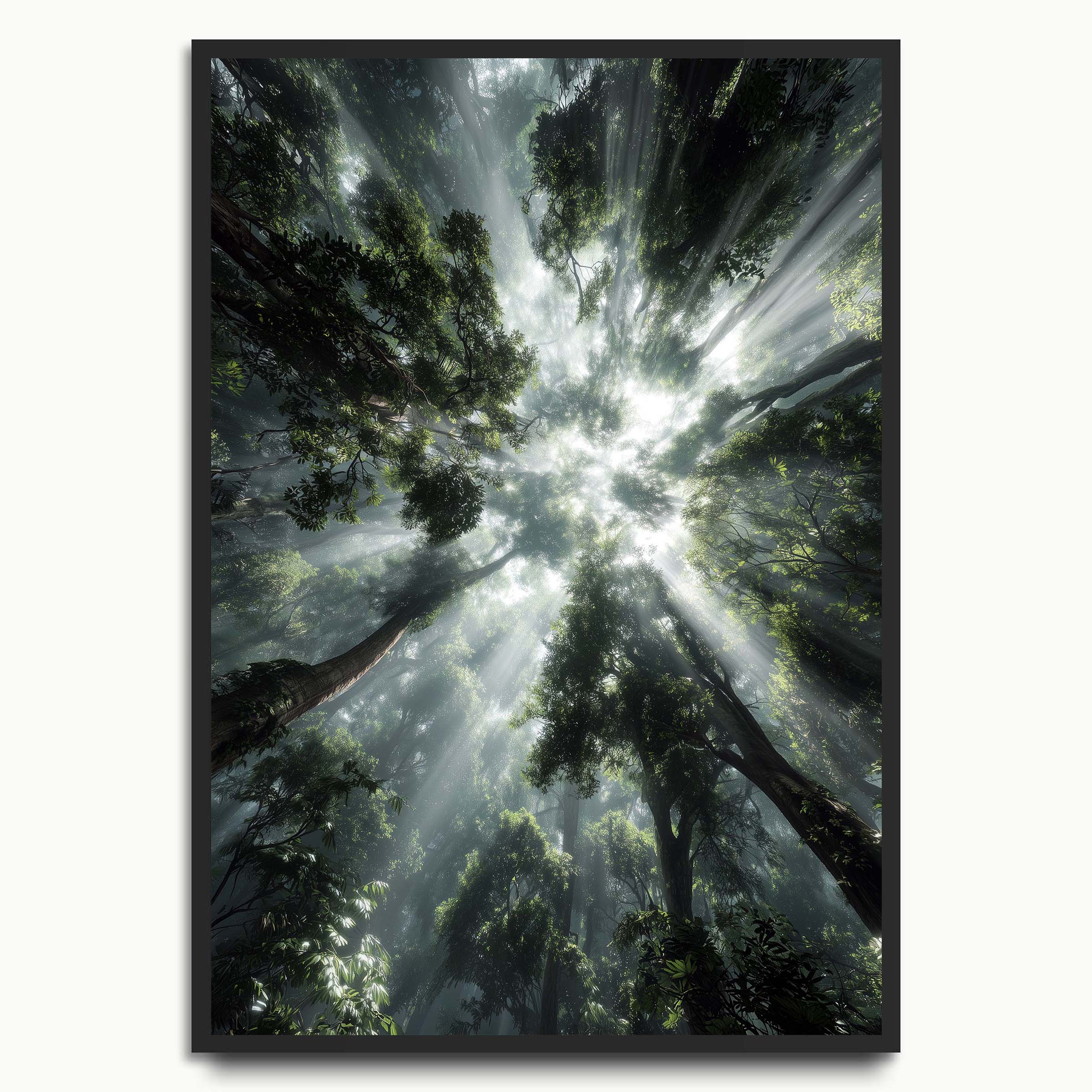 Forest Canopy Light
