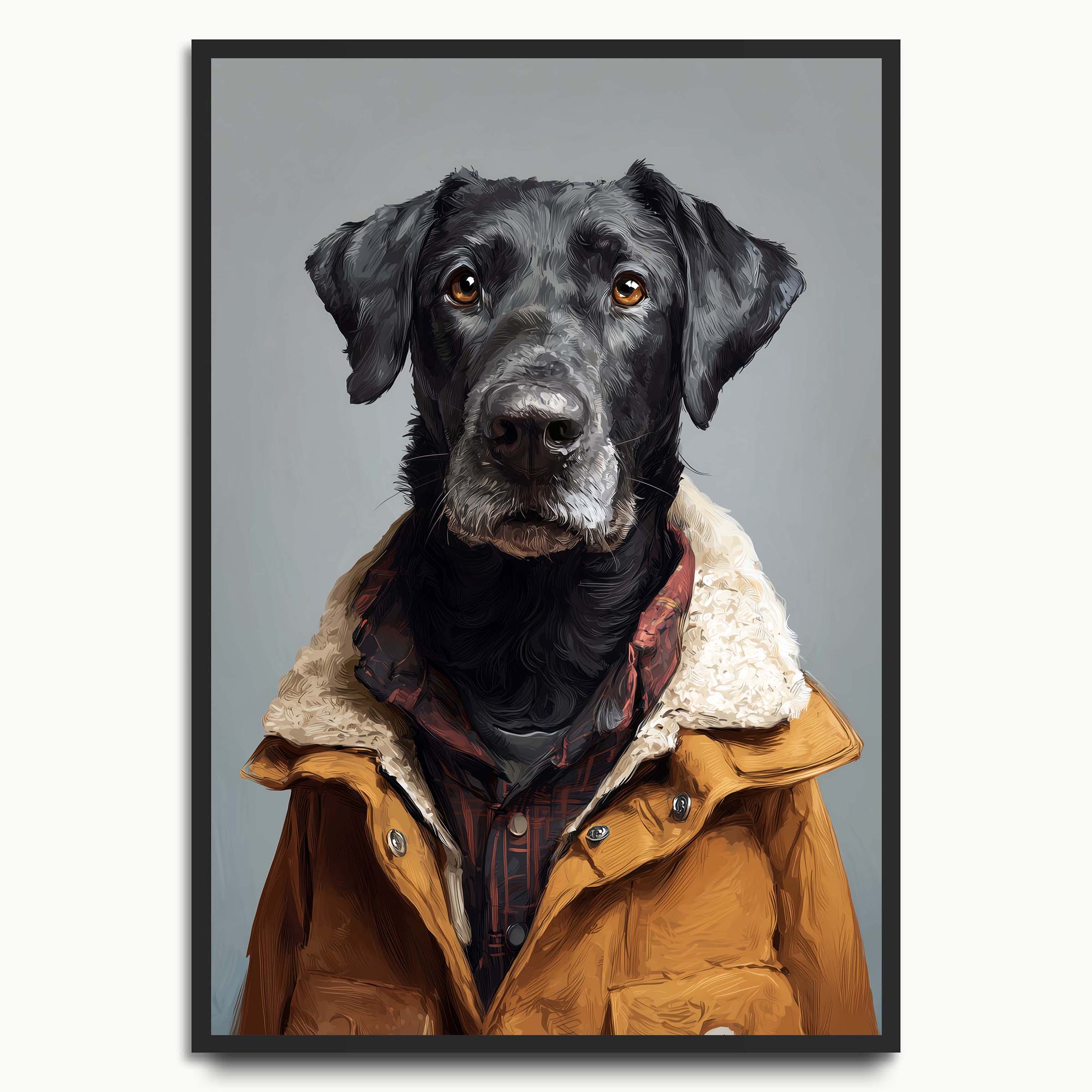 Cosy Black Lab