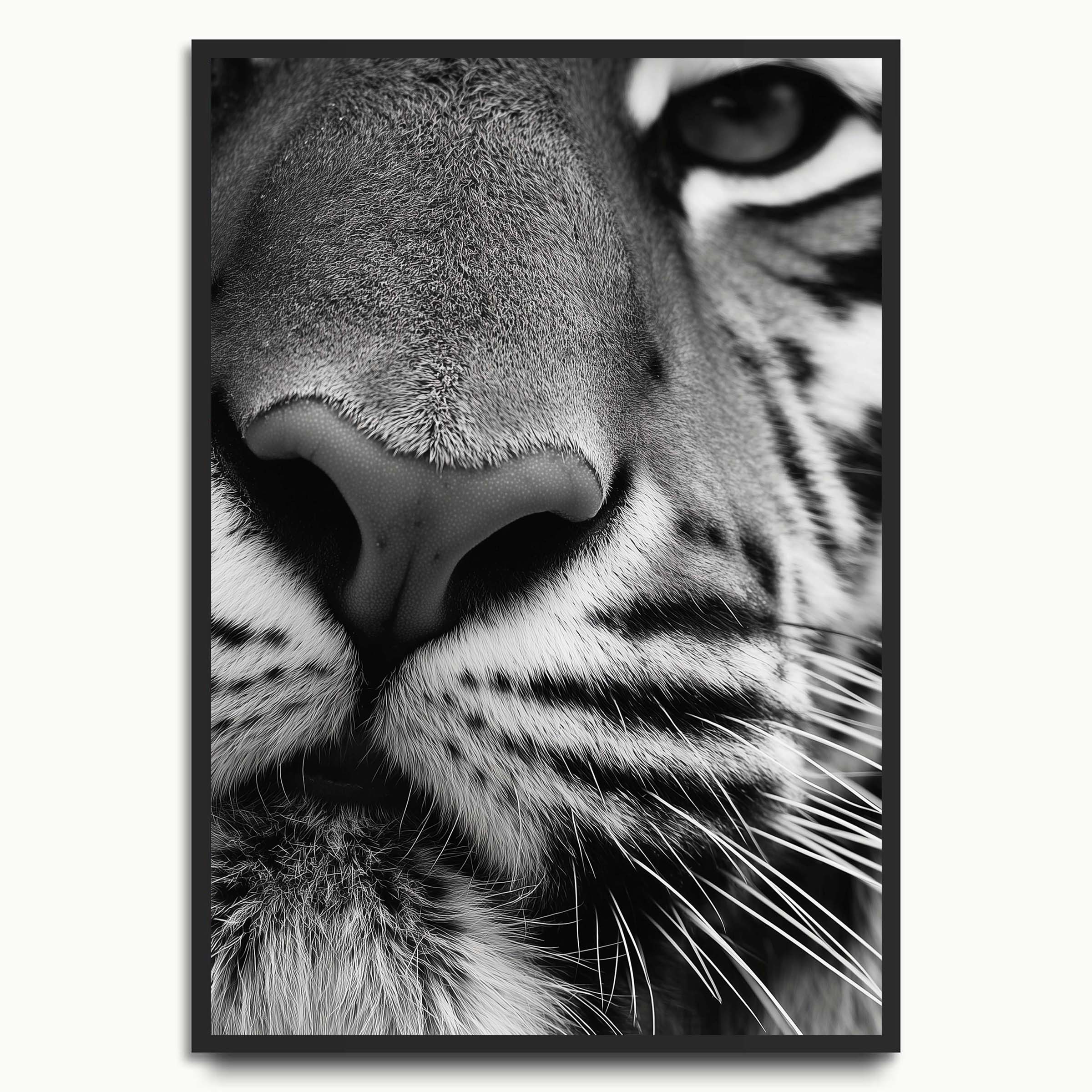 Tiger Close-Up