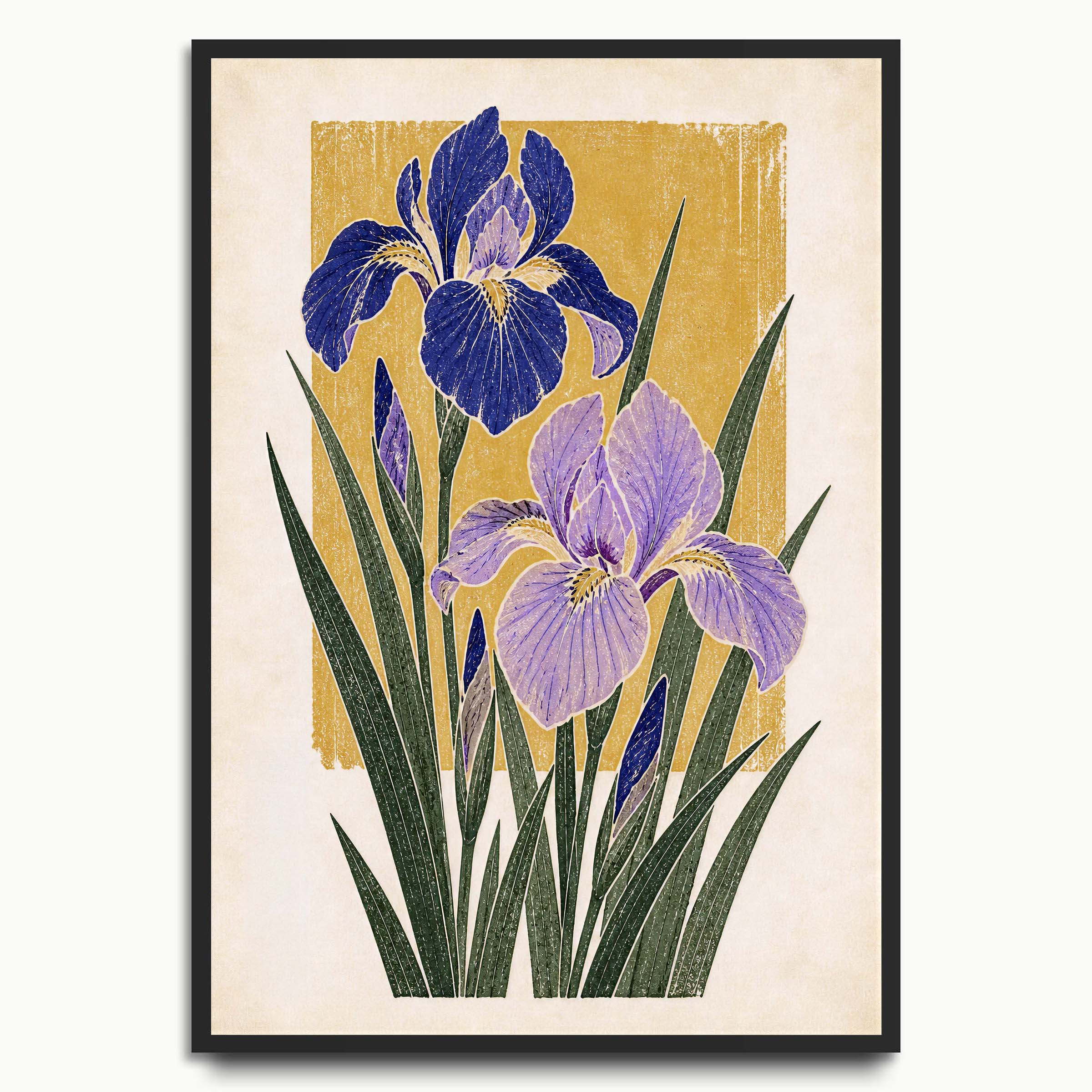 Purple Iris Study