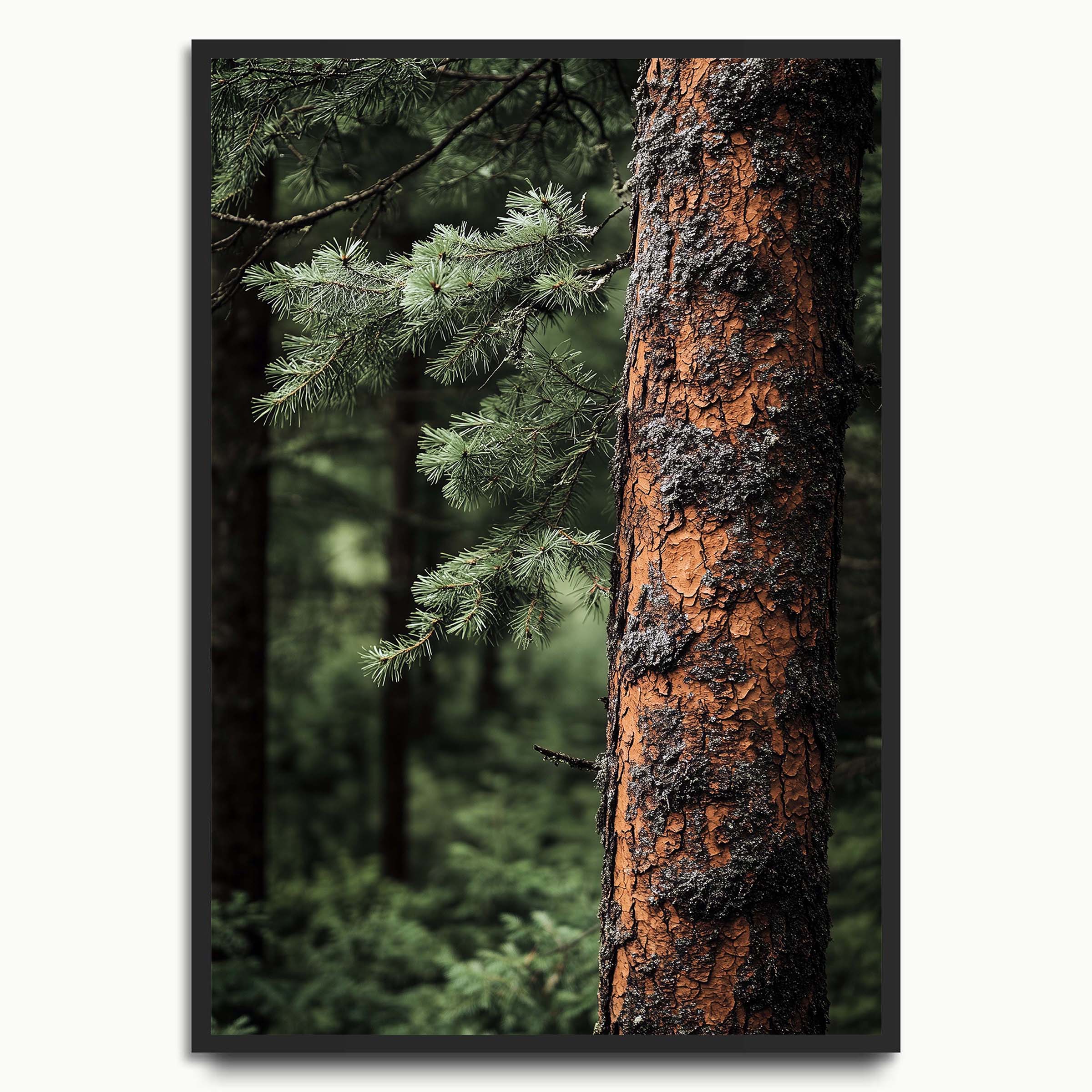 Forest Texture