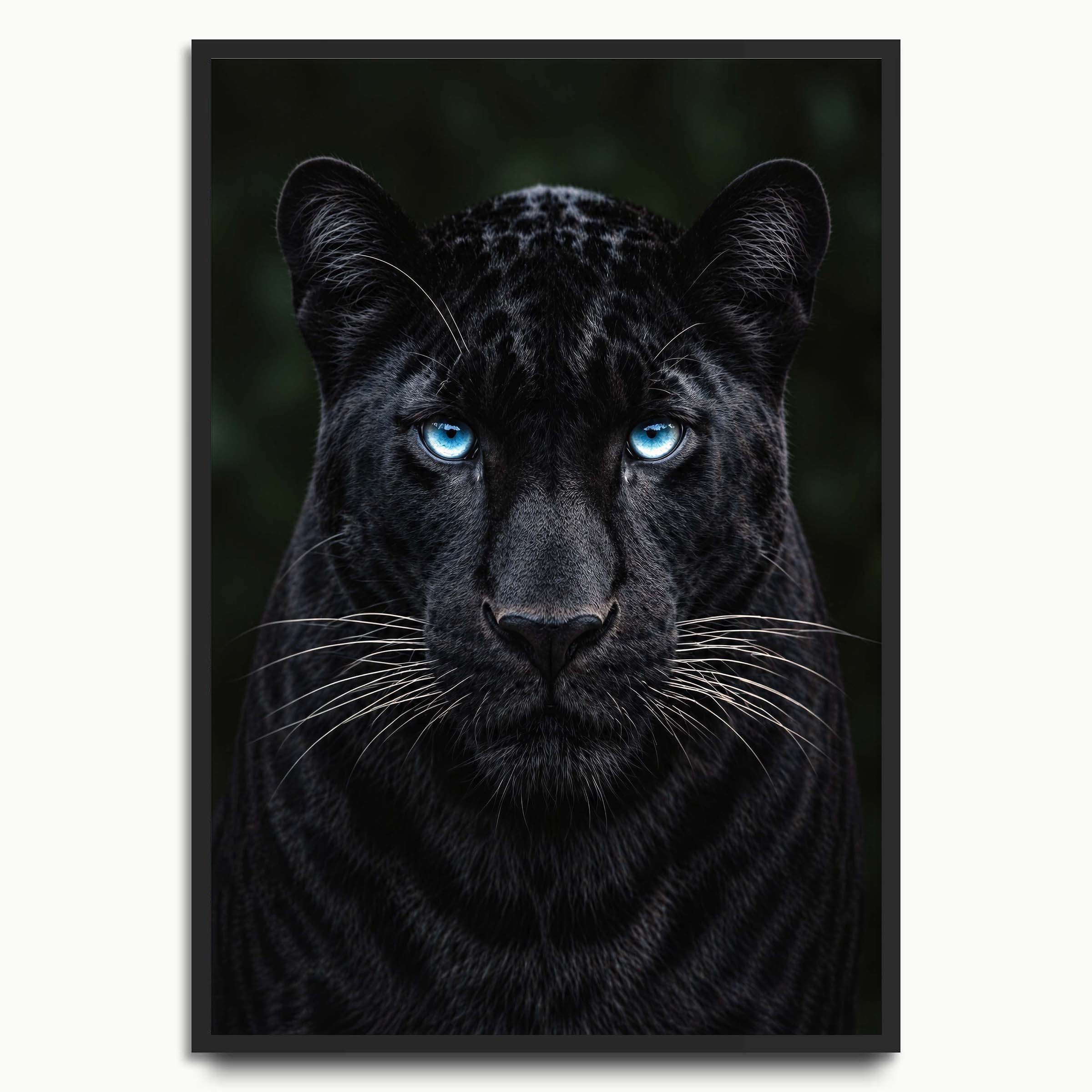 Blue-Eyed Panther