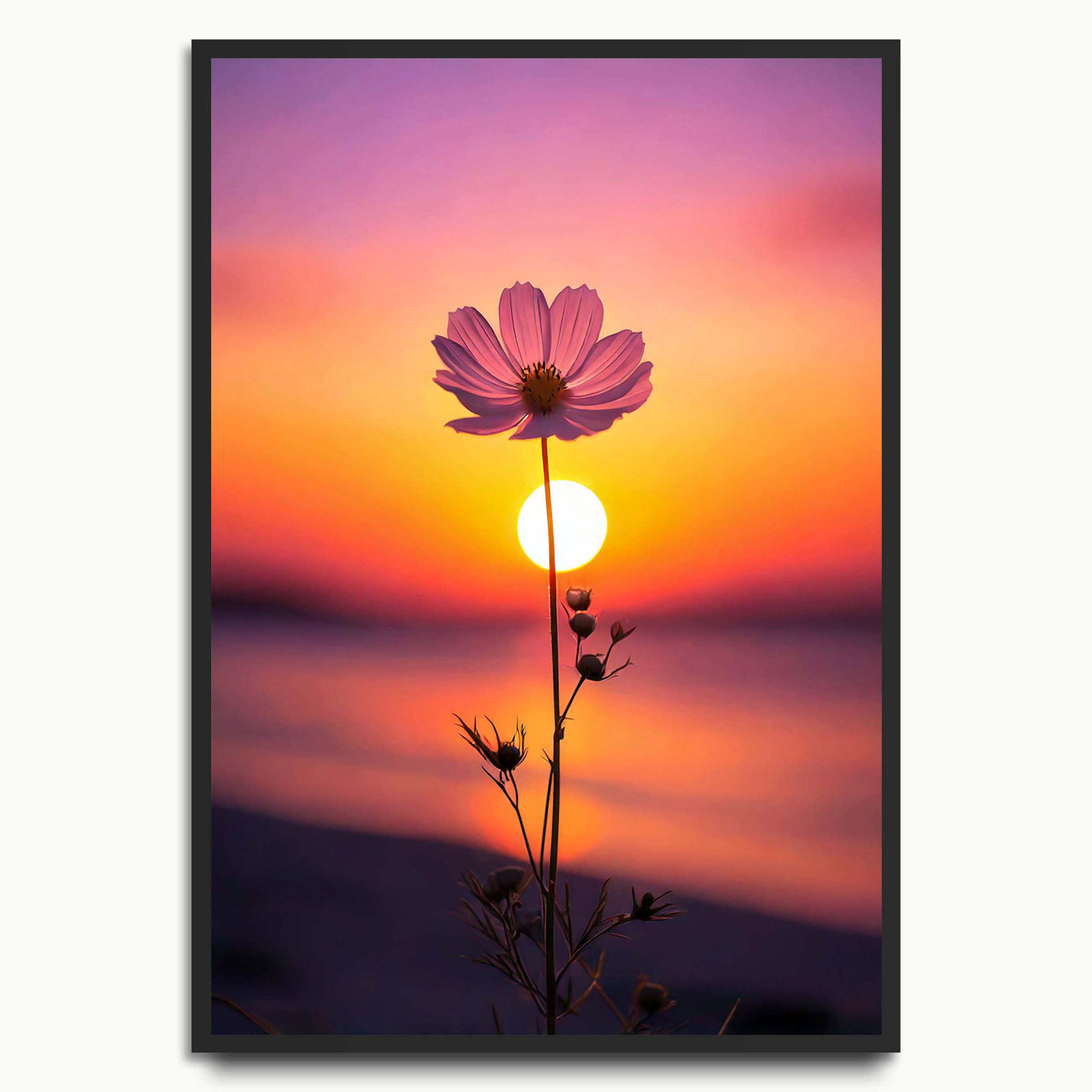 Sunset Bloom
