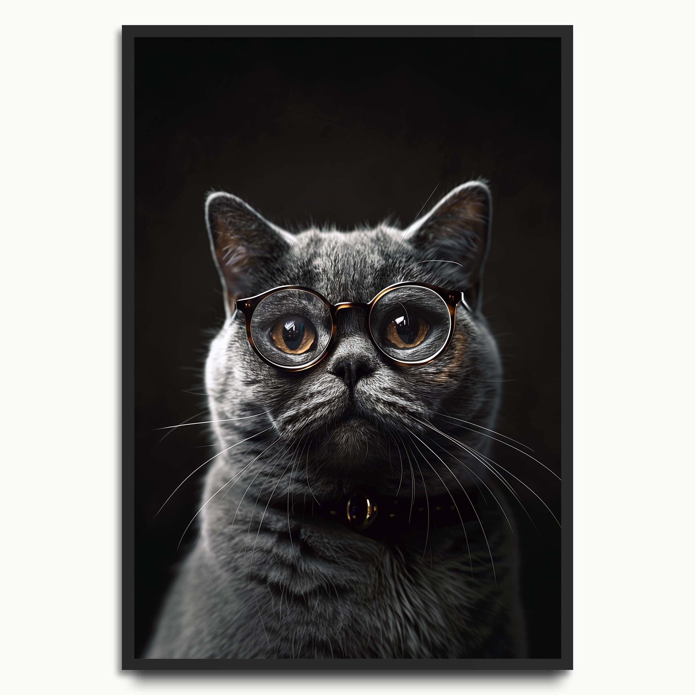 Bookish Black Cat