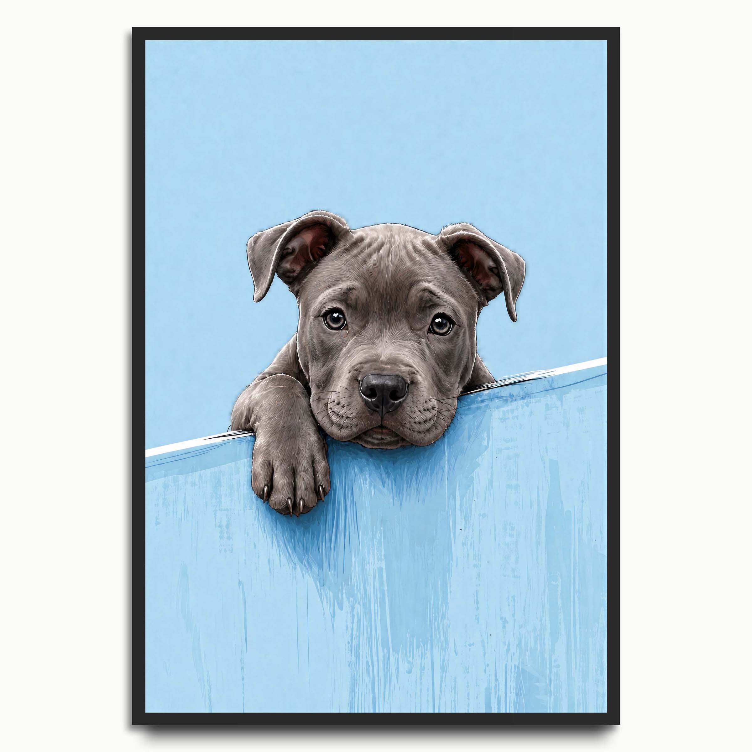 Blue Wall Puppy