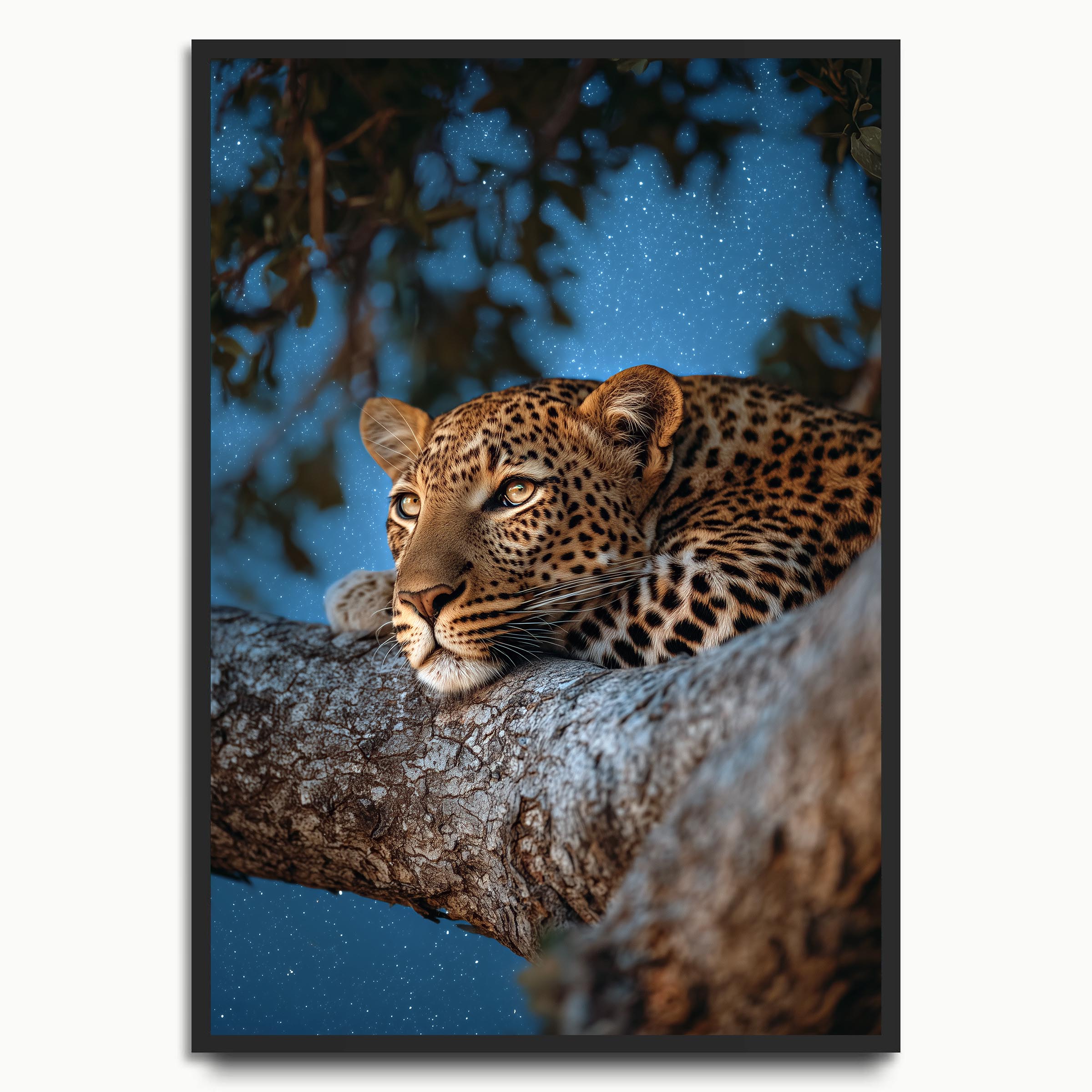 Leopard Night Tree