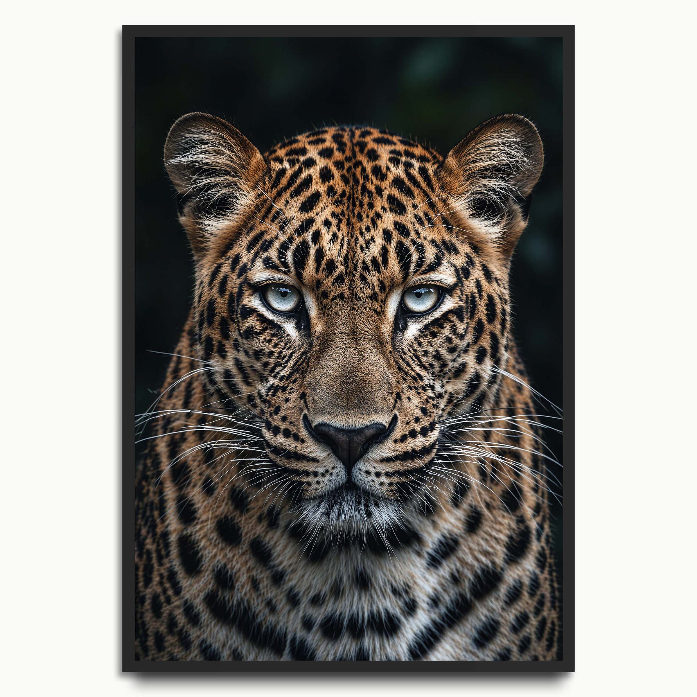 Blue-Eyed Leopard