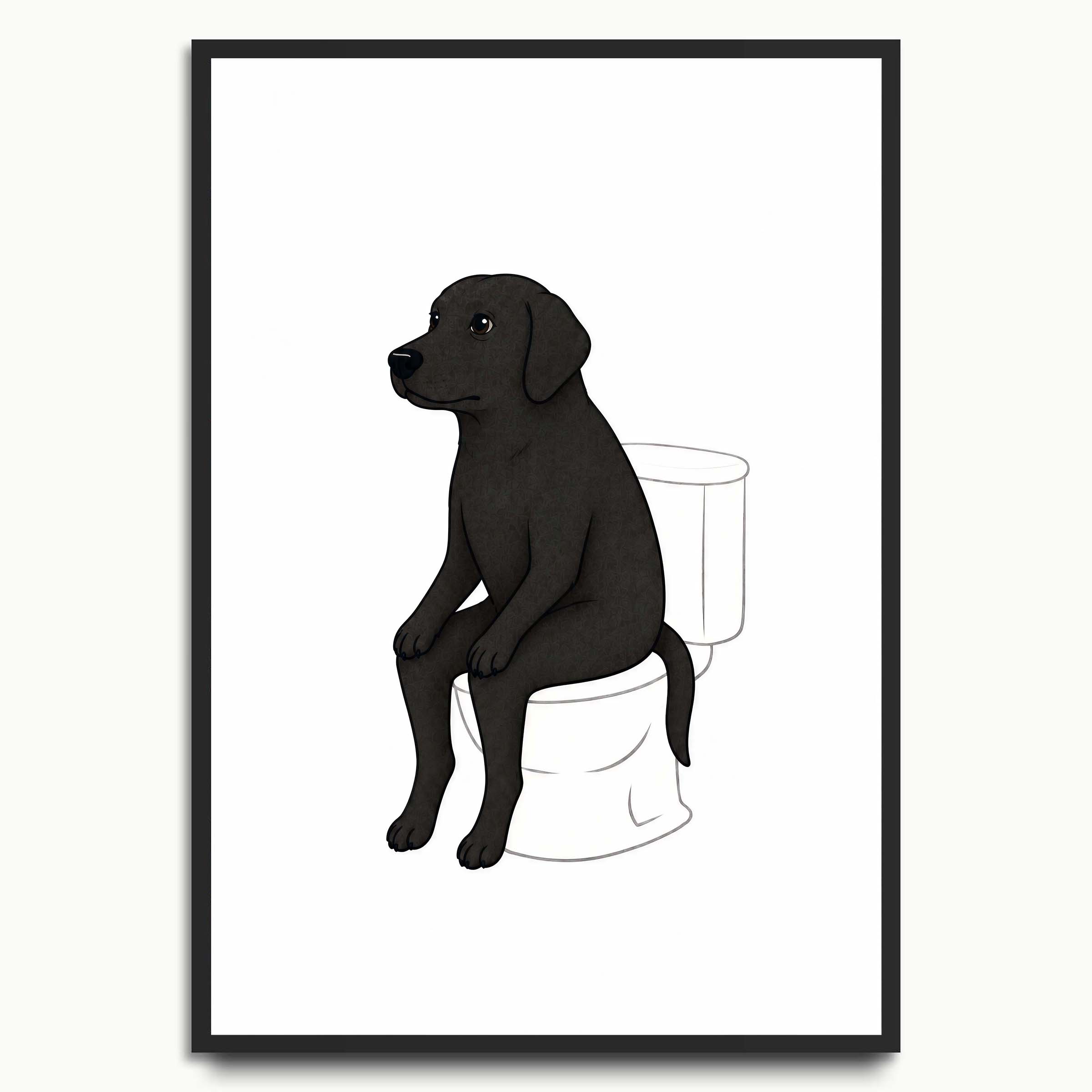 Poop Labrador