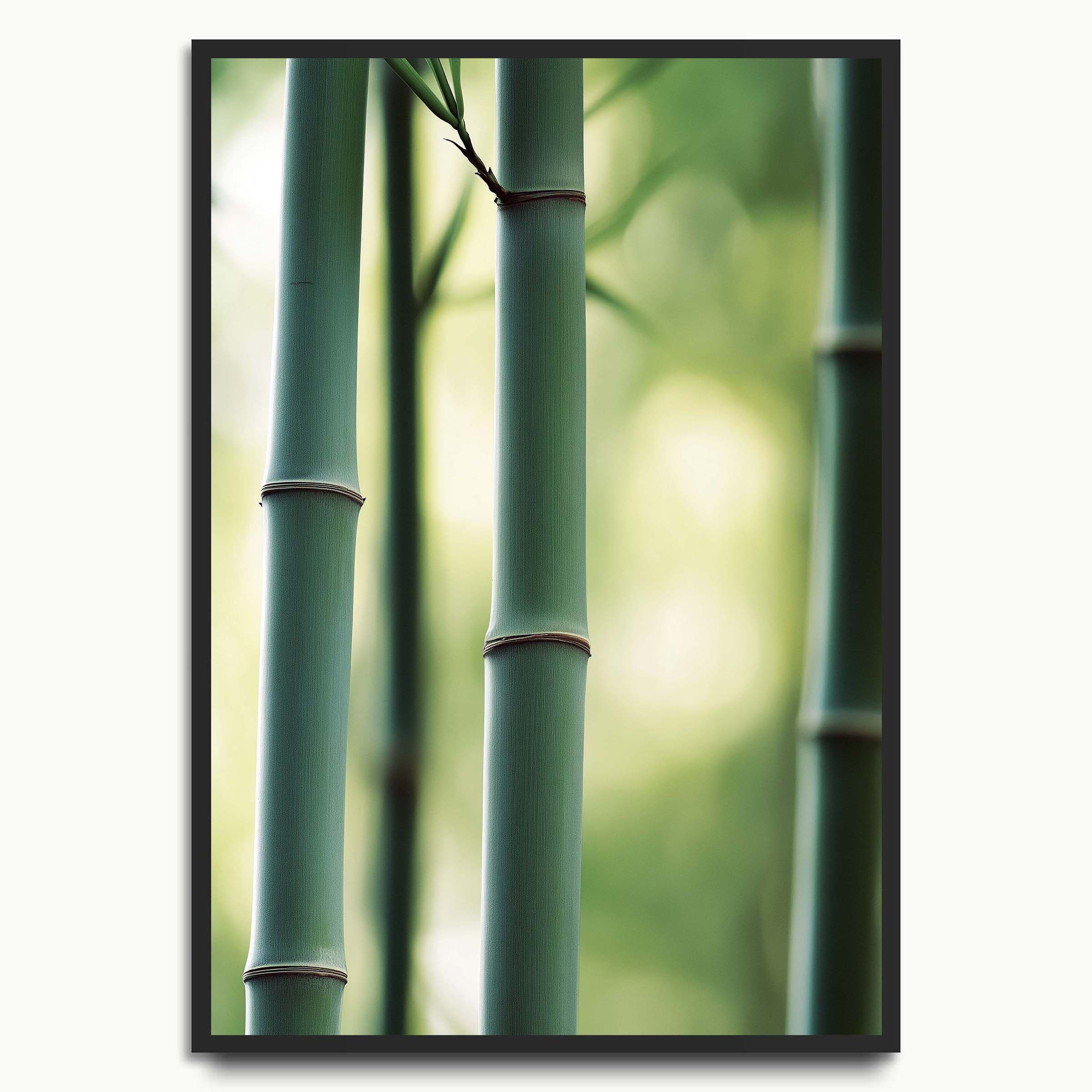 Bamboo Culms botanical & flower prints