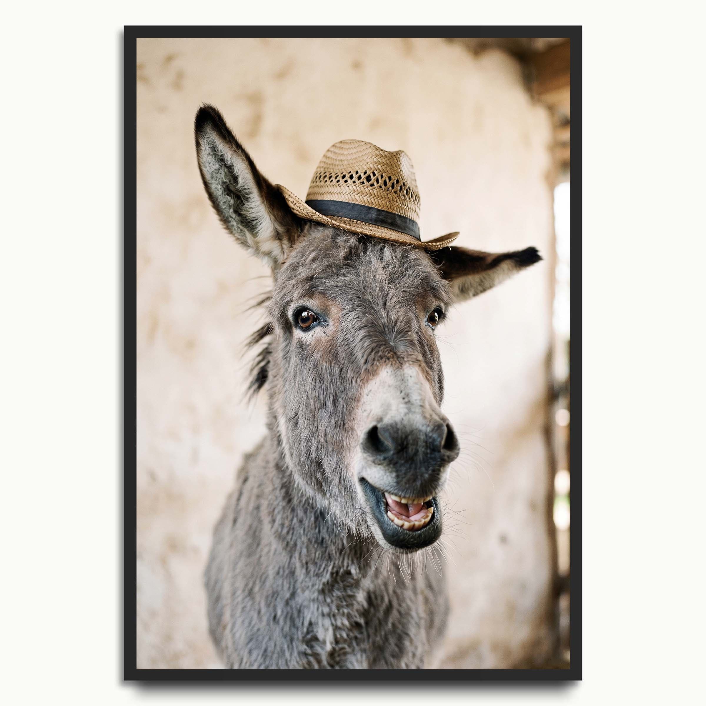 Smiling Straw Hat Donkey animal art prints